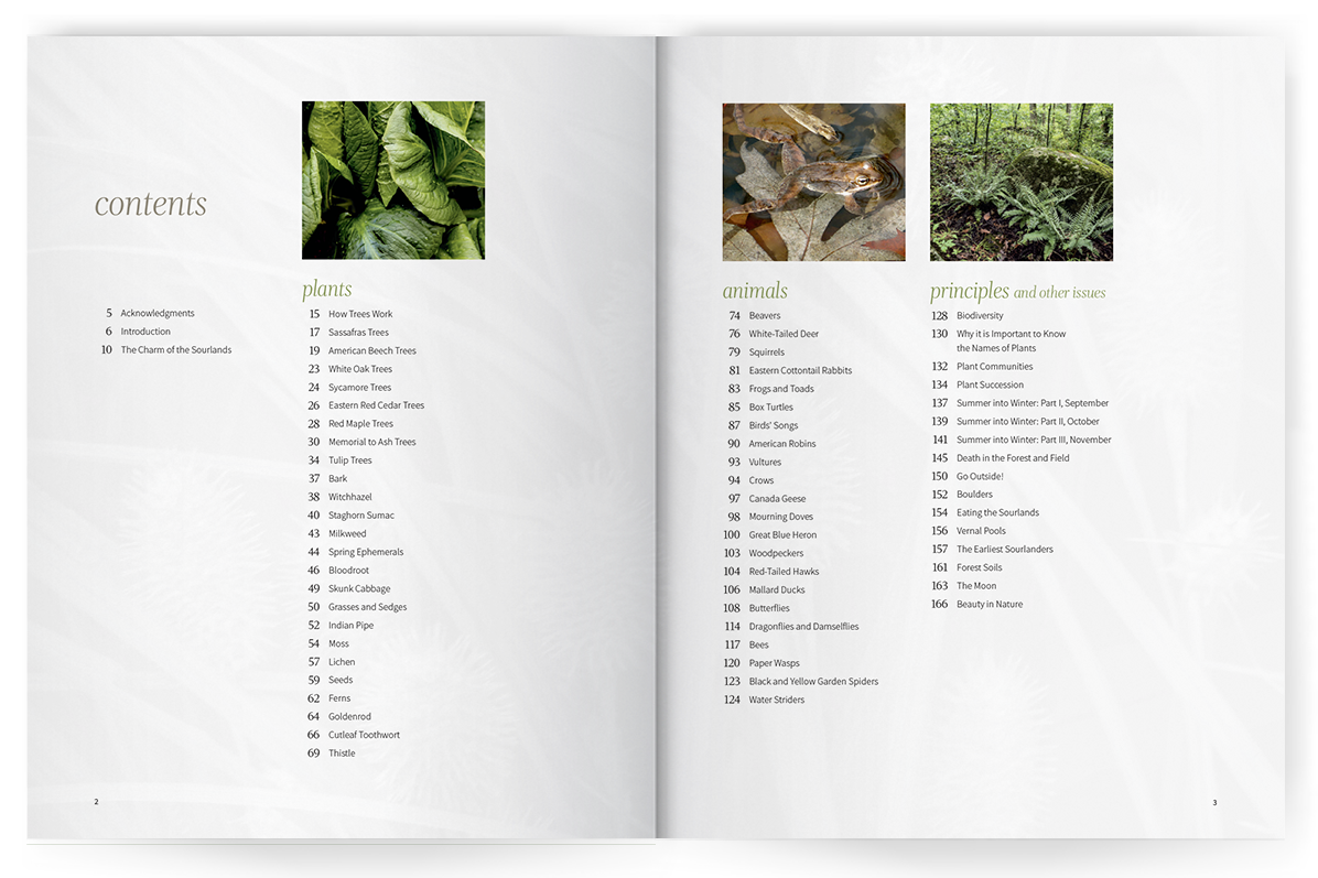 Photo of Seeing the Sourlands